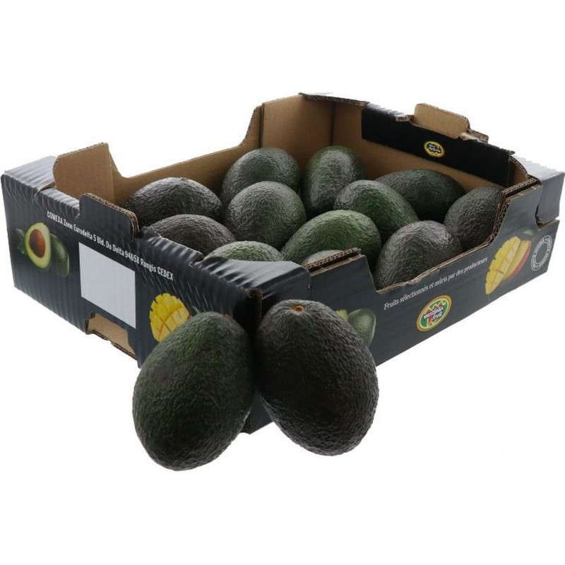 AVOCAT HASS READY TO EAT 22PCS
